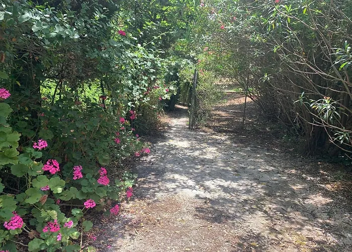 Melina Vilă Nisaki (Corfu)